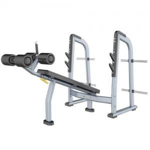 Power World Fitness Equipment Rouse Fighter RF Series Olympic Decline Bench press China Fitness Equipment