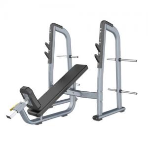Power World Fitness Equipment Rouse Fighter RF Series Olympic Incline Bench press Gym Equipment