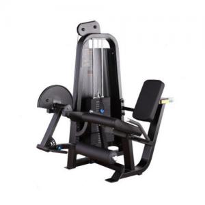 Power World Fitness Equipment Rouse Power RP series Gym Equipment Names seated Leg Extension 