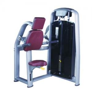 Power World Fitness Equipment Rouse Talent RT series Triceps Dip China Fitness Equipment