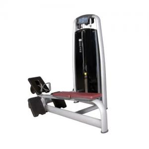 Power World Fitness Equipment Rouse Talent RT series Low Row Exercise Equipment