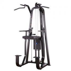 Power World Fitness Equipment Rouse Power RP series Professional Gym Equipment Dip Chin Assist